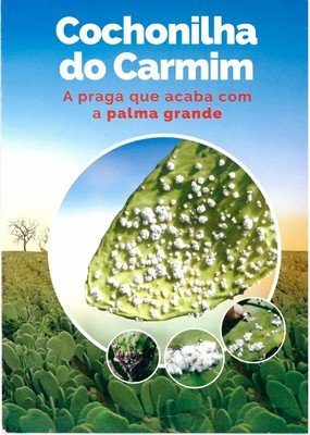 COCHONILHA